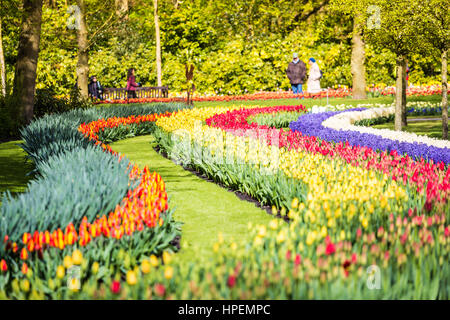 Tulipani e fiori a giardini Keukenhof Lisse, Paesi Bassi Foto Stock