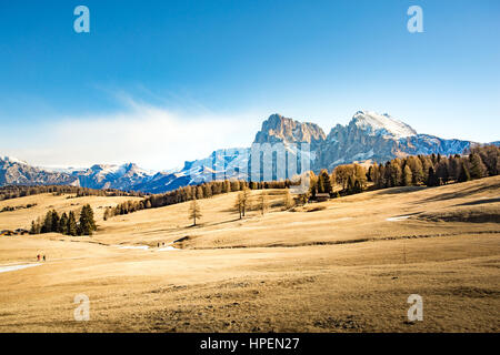 Siusi, Dolmites paesaggio delle Alpi, Trentino Alto Adige, Italia Foto Stock
