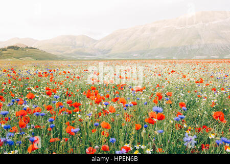 Castelluccio di Norcia in Umbria, Italia. Paesaggio e Piana Grande Foto Stock