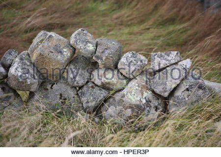 Irish muro di pietra di luce soffusa nell' Irlanda occidentale Foto Stock