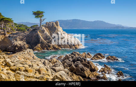 Classic vista da cartolina famoso Lone Cypress, un punto di riferimento su una collina di granito off California's scenic 17-Mile Drive Pebble Beach, California, Stati Uniti d'America Foto Stock