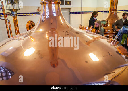 Visitatori, sala della birra con mash tun serbatoi di rame, in Augustiner Brau, birreria, Salisburgo, Austria Foto Stock