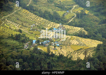 Guardando verso il basso su una piccola comunità agricola vicino ai villaggi di Ulleri Banthanti e nel santuario di Annapurna Himalaya,, Nepal, Asia