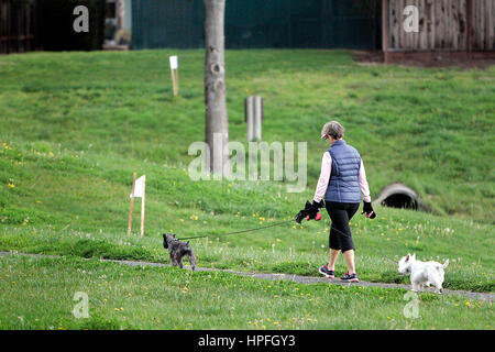 Napa Valley, CA, Stati Uniti d'America. Xvi Feb, 2017. Una donna cammina vicino a segnali di avvertimento della presenza di acqua contaminata al Parco Lago Vicino Stonehouse Drive. Credito: Napa Valley Register/ZUMA filo/Alamy Live News Foto Stock