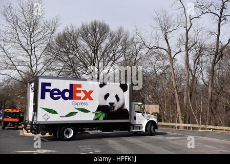 Washington, DC, Stati Uniti d'America. Il 21 febbraio, 2017. Il camion che trasportano panda gigante Bao Bao lascia lo zoo all'Aeroporto di Washington, DC, Stati Uniti, Feb 21, 2017. Americano-nato panda gigante Bao Bao arriverà nel sud-ovest della Cina di provincia di Sichuan mercoledì sera (ora di Pechino). Credito: Yin Bogu/Xinhua/Alamy Live News Foto Stock