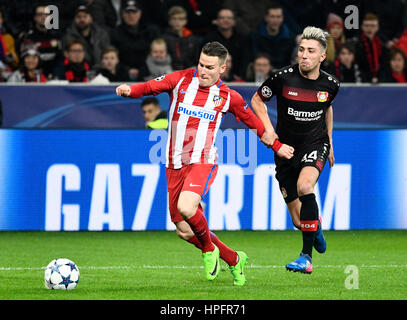 BayArena Leverkusen, Germania. Il 21 febbraio, 2017. Stagione UEFA Champions League 2016/17 round di sedici prima gamba, Bayer 04 Leverkusen vs Atletico Madrid -- Kevin Gameiro (Atletico), Kevin Kampl (LEV) Credito: kolvenbach/Alamy Live News Foto Stock