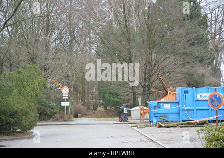 Lankwitz, Berlino, Germania. Il 22 febbraio 2017. La protesta contro la cancellazione di 200 alberi di Lankwitz, Berlino, Germania. In Leonorenpark Senato di Berlino sarà costruire alloggi per i rifugiati. Credito: Markku Rainer Peltonen/Alamy Live News Foto Stock