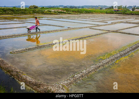 Uomo carriola spinta nelle saline nei pressi di Guerande, Loire-Atlantique, Francia Foto Stock