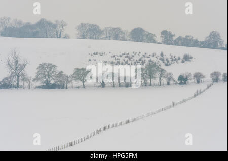 I campi e le siepi vicino Luddesdown kent dopo una pesante caduta di neve Foto Stock