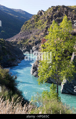 Cromwell, Otago, Nuova Zelanda. Le acque turchesi di Kawarau River correre attraverso la Gola di Kawarau a valle di Roaring Meg cade. Foto Stock