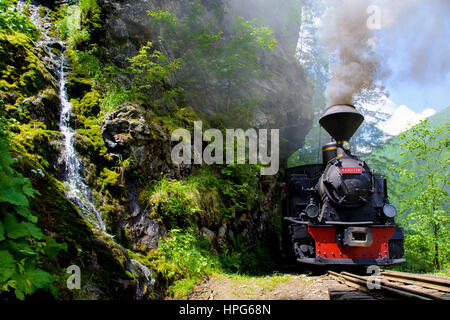 Mocanita treno a vapore - a scartamento ridotto Foto Stock
