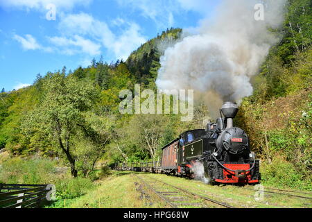 Mocanita - Treno a vapore del Maramures, Romania / noto per il trasporto di legname, ora usato più per turisti Foto Stock