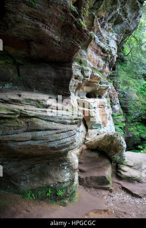 Pareti di pietra arenaria lungo il sentiero al Rock House, Hocking Hills State Park, Ohio. Foto Stock