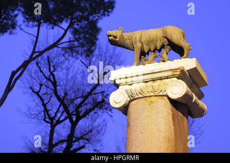 Statua di Romolo e Remo a Roma. L'Italia. Simbolo della città. Foto Stock