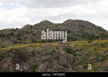 Rocky e boscoso picchi di montagna in un nuvoloso, moody sky Foto Stock