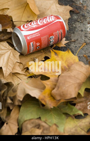 Weggeworfene, leere Coca Cola-Dose Herbstlaub im - empty Coke può in foglie di autunno Foto Stock