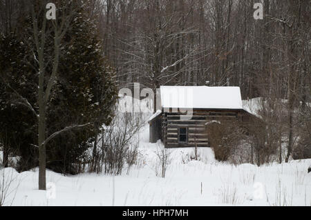 Segato vecchi log cabin nella neve in inverno il paesaggio, con alberi e neve. Foto Stock