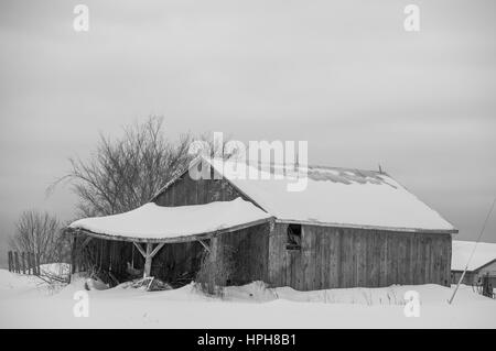 Snowy vecchio fienile in una giornata grigia. Barnboards sono sbiadite, vecchio e stagionato. Mostra alcuni alberi ed è in bianco e nero. Foto Stock