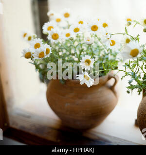 Un vaso di fiori bianchi su un davanzale. Foto Stock