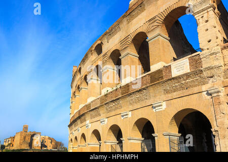 Vista da appena riparata e rinnovato lato del Colosseo verso il Colle Palatino, ome, Italia Foto Stock