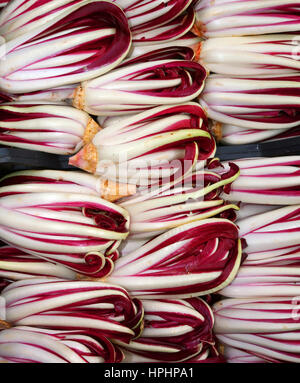 Sfondo del radicchio rosso chiamato Radicchio Rosso di Treviso in Italia per la vendita nel fruttivendolo Foto Stock