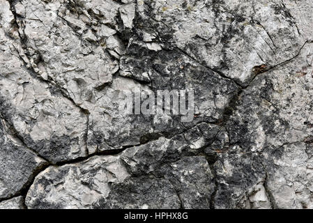 Primo piano di una incrinata superficie di calcare. Roccia sedimentaria Foto Stock