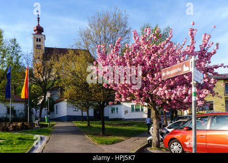 Donnerskirchen, Chiesa di San Martin, Neusiedler See (lago di Neusiedl), Burgenland, Austria Foto Stock