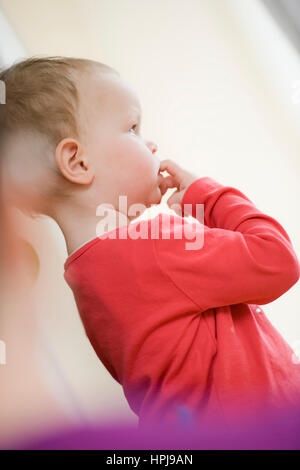 Modello rilasciato , Kleines Maedchen, 1 1/2 Jahre - bambina Foto Stock