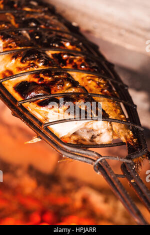 Sgombro pesce alla griglia su carbone. Profondità di campo Foto Stock