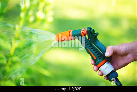 Giardino di irrigazione con tubo spruzzatore ugello della pistola. Donna mano fiori di irrigazione. Profondità di campo Foto Stock