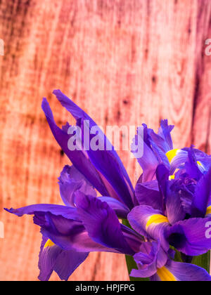 Mazzo di iris su asse di legno sfondo, orientamento verticale Foto Stock