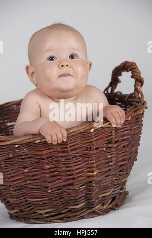 Modello rilasciato , Baby, 10 Monate, im Korb - baby in basket Foto Stock
