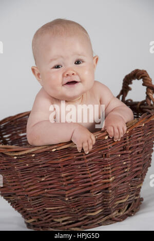 Modello rilasciato , Baby, 10 Monate, im Korb - baby in basket Foto Stock