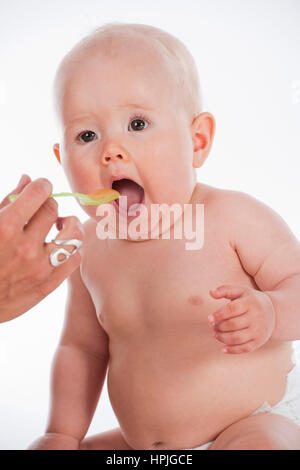 Modello rilasciato , Baby, 10 Monate, wird gefuettert - alimentazione di un bambino Foto Stock