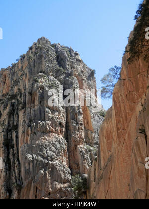 Rockscape in gola su Caminito del Rey, re la passerella a El Chorro National Park, Andalusia, Spagna Foto Stock