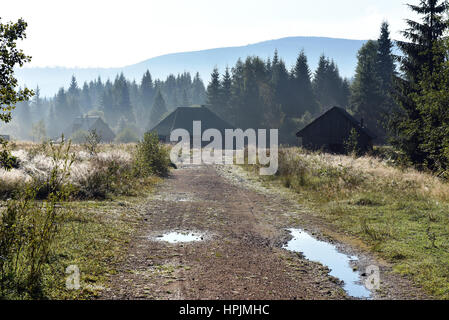 Foresta e lodge è aumentata dalla mattina nebbia autunnale Foto Stock