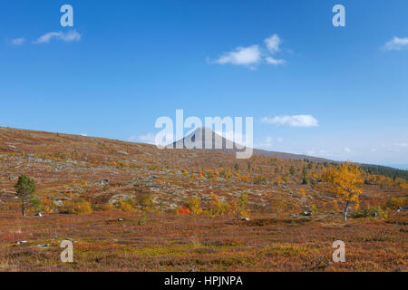 La montagna Nipfjaellet nel Städjan-Nipfjället riserva naturale in autunno, Dalarna, Svezia e Scandinavia Foto Stock