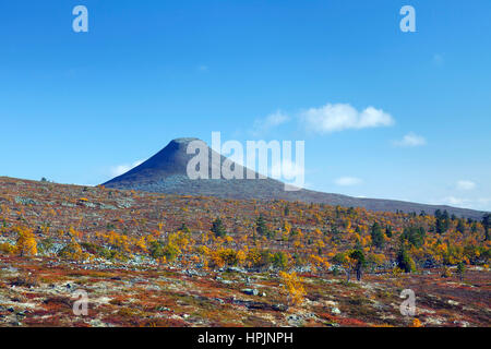 La montagna Nipfjaellet nel Städjan-Nipfjället riserva naturale in autunno, Dalarna, Svezia e Scandinavia Foto Stock