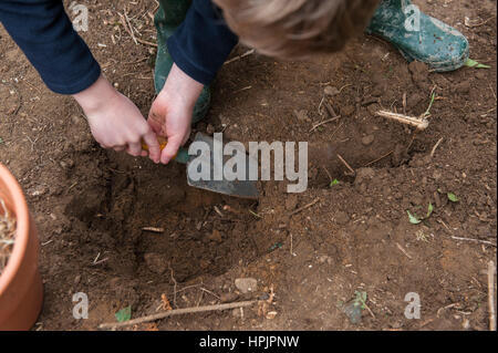 La realizzazione di un apiario o bumblebee nido fatto fuori di articoli per la casa Foto Stock