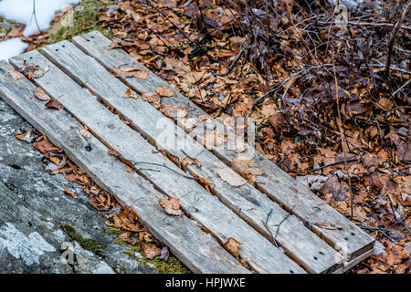 Inverno Albro lakeside banco con foglie appassite in Dartmouth Foto Stock