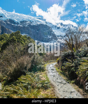 Sentiero escursionistico, Rob Roy ghiacciaio, montare gli aspiranti National Park, Otago Southland, Nuova Zelanda Foto Stock