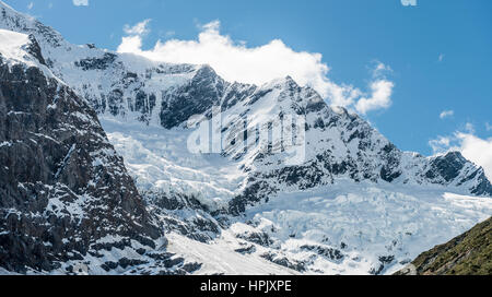 Rob Roy ghiacciaio, montare gli aspiranti National Park, Otago Southland, Nuova Zelanda Foto Stock