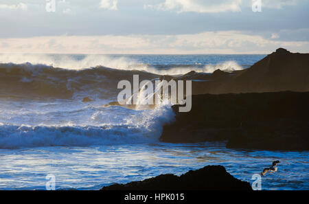 Punakaiki, Paparoa National Park, West Coast, Nuova Zelanda. Potenti onde del Mare di Tasman Schiantati sulla roccia. Foto Stock