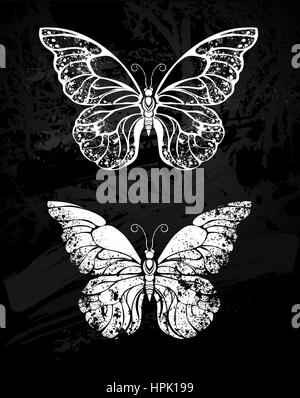 Dipinto di bianco gesso sulla lavagna nera silhouette butterfly morfida. Design con farfalle. Disegno con gesso. Butterfly morfo. Illustrazione Vettoriale