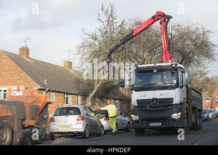 Winchester, Hampshire, Regno Unito. Il 23 febbraio 2017. Regno Unito Meteo, Storm Doris devastazione attraverso hampshire come due vetture sono schiacciati da un grande albero in Winnall, Winchester. Credito: Sarà Bailey/Alamy Live News Foto Stock