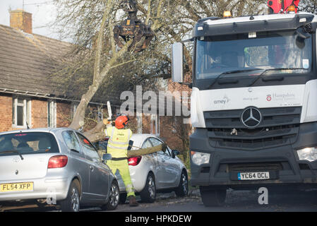 Winchester, Hampshire, Regno Unito. Il 23 febbraio 2017. Regno Unito Meteo, Storm Doris devastazione attraverso hampshire come due vetture sono schiacciati da un grande albero in Winnall, Winchester. Credito: Sarà Bailey/Alamy Live News Foto Stock