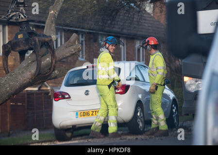 Winchester, Hampshire, Regno Unito. Il 23 febbraio 2017. Regno Unito Meteo, Storm Doris devastazione attraverso hampshire come due vetture sono schiacciati da un grande albero in Winnall, Winchester. Credito: Sarà Bailey/Alamy Live News Foto Stock