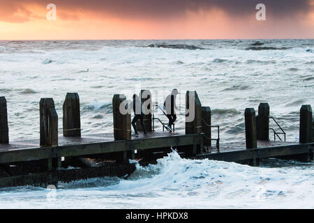 Aberystwyth Wales UK, giovedì 23 Feb 2017 UK Meteo: Ragazzi sul pontile in Aberystwyth giocando un gioco rischioso di schivare le onde all indomani della tempesta Doris era il quarto denominato storm dell'inverno ed è stato classificato come un "meteo bomba' (esplosiva cyclogenesis) dal Met Office Photo credit: keith morris/Alamy Live News Foto Stock