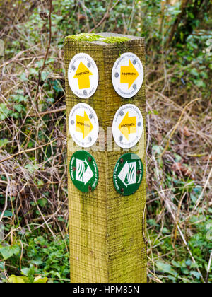 Marcatore post roundel con frecce che indicano le direzioni sul sentiero sul modo Itchen sentiero in Hampshire. Foto Stock