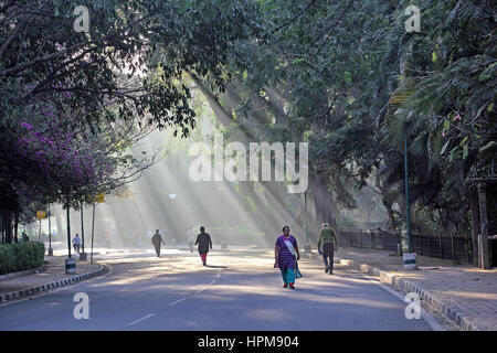 Gli uomini e le donne a fare ginnastica mattutina a piedi lungo una strada di Bangalore in una nebbiosa e mattina di sole Foto Stock